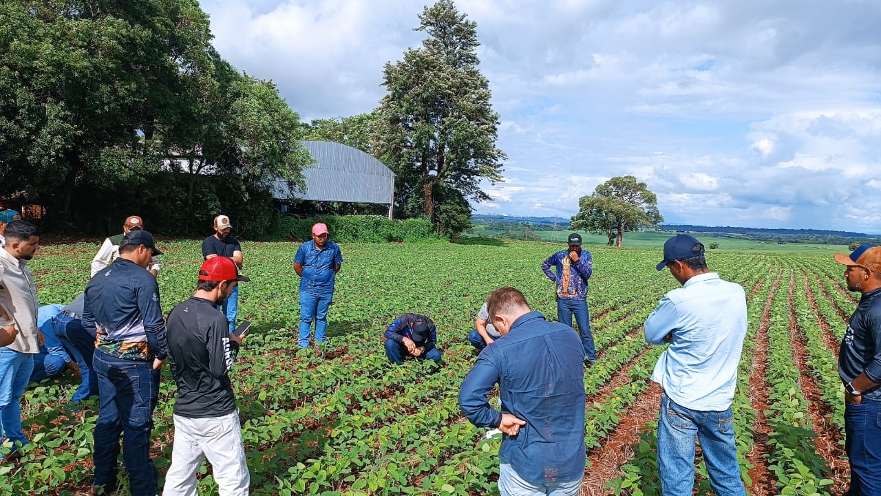 WhatsApp Image 2024-12-11 at 06.52.47.jpg